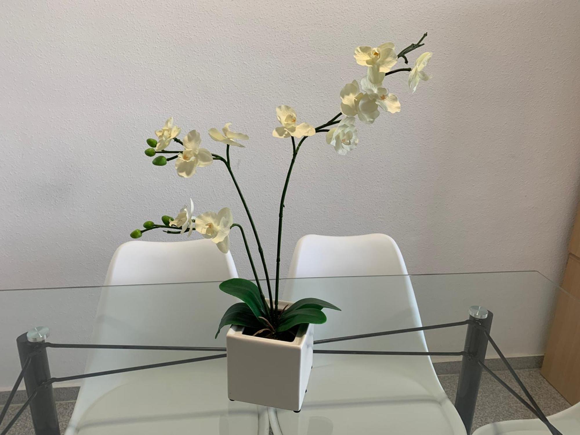 坎佩略Cabo Mar公寓 外观 照片